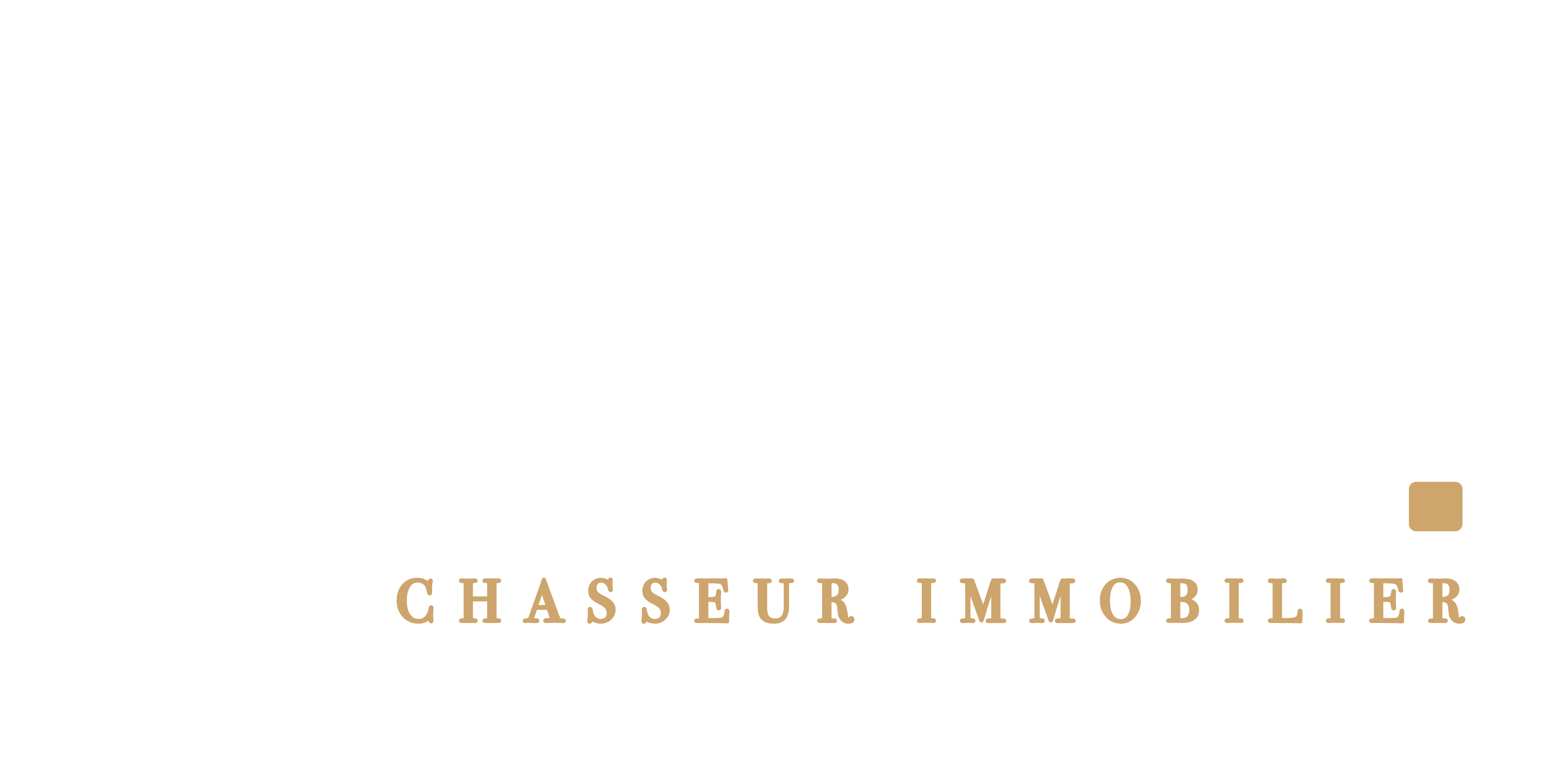 Logo Surikat chasseur immobilier